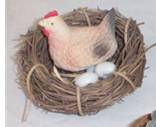 Lg Hen in Nest