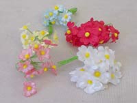 Miniature Flowers