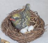 LARGE BIRD IN NEST WITH EGGS