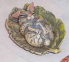 RABBIT ON LEAF