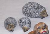 SET 3 PORCUPIN