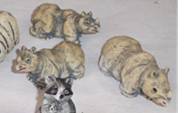 SET 3 RHINOS