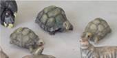SET 3 TURTLES