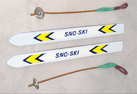 Skis and Poles